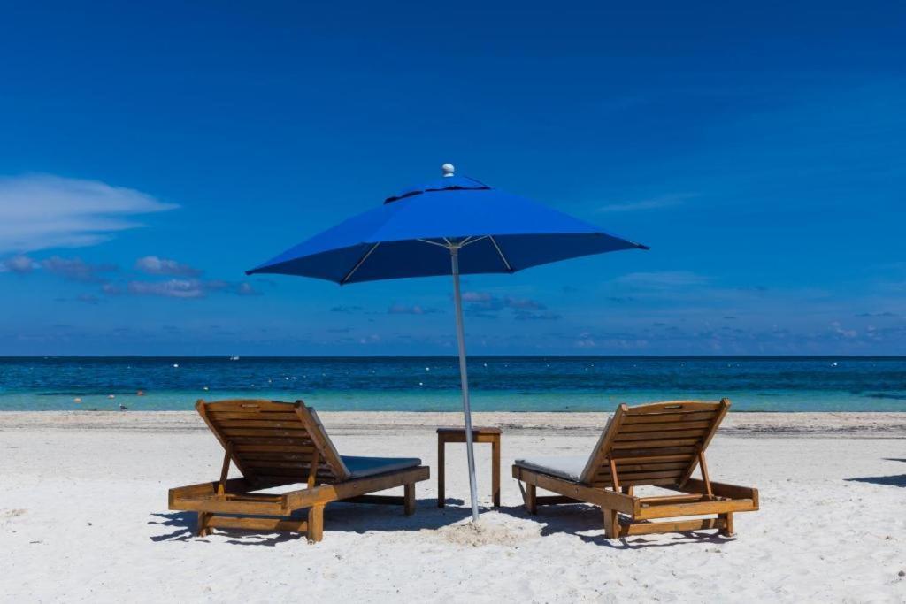 Kabanas & Beach Club Ojo De Agua 莫雷洛斯港 外观 照片